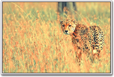 48% OFF on Leopard Paper Print