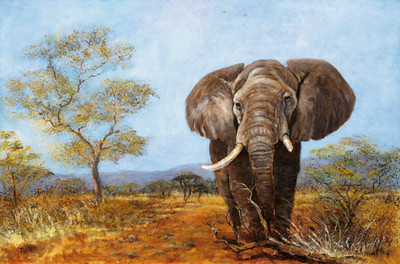 20% OFF on Wild Elephant Canvas Art