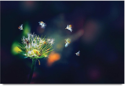 75% OFF on Dandelion Paper Print