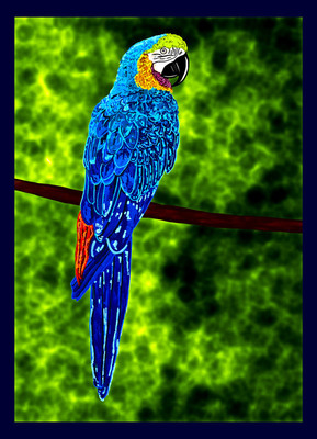 50% OFF on Parrot 03, Canvas Art