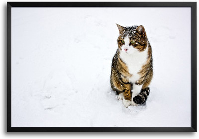 46% OFF on ShopMantra Cat in Snow Laminated Frame Poster Paper Print