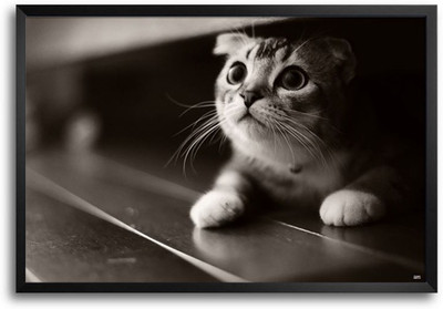 74% OFF on Kitten Fp00003510 Framed Photographic Paper