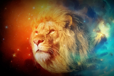 31% OFF on Oshi - Lion Galaxy Paper Print 31% OFF on Oshi - Lion Galaxy Paper Print