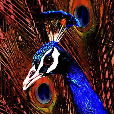 50% OFF on Red, White Paper Print