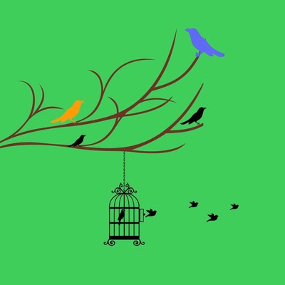 54% OFF on Bird Cage Art Print Photographic Paper