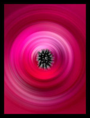 50% OFF on Swirls 06 Paper Print