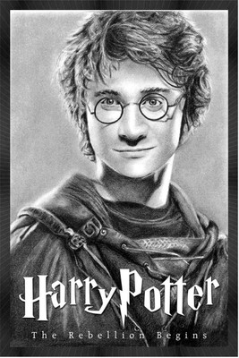 30% OFF on Harry porter Paper Print 30% OFF on Harry porter Paper Print