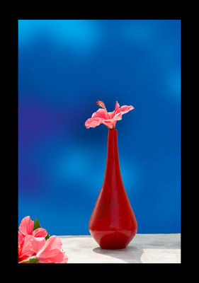 50% OFF on Hibiscus in Canvas Art