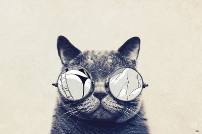 64% OFF on Cat With Glasses Photographic Paper 64% OFF on Cat With Glasses Photographic Paper