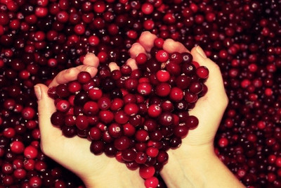 70% OFF on 130382Heart Love Poster Photographic Paper 70% OFF on 130382Heart Love Poster Photographic Paper