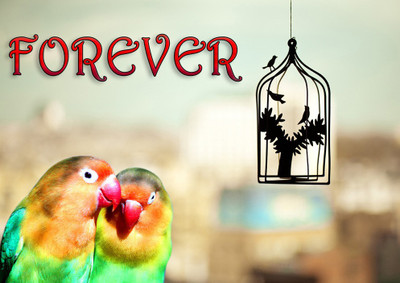 44% OFF on Forever Fine Art Print 44% OFF on Forever Fine Art Print