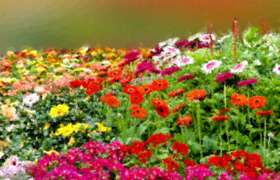 50% OFF on Colourful Flowers 57 Paper Print