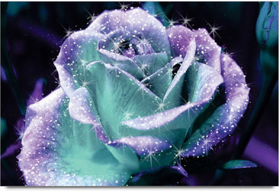 34% OFF on Amy Shining Light Rose Paper Print 34% OFF on Amy Shining Light Rose Paper Print