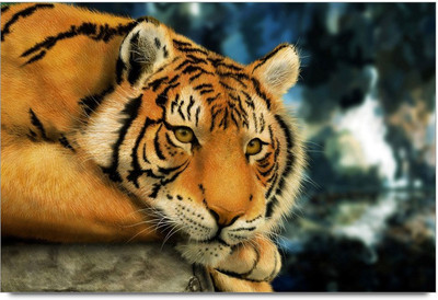 53% OFF on Indian Tiger Sitting Laminated Poster Paper Print