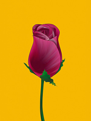 50% OFF on Rose Bud Paper Print 50% OFF on Rose Bud Paper Print