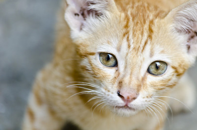 50% OFF on Look at me Paper Print