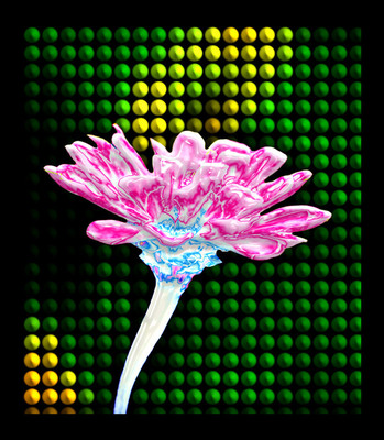 50% OFF on Shining Pink Paper Print 50% OFF on Shining Pink Paper Print