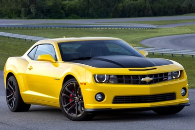 50% OFF on Camaro Paper Print 50% OFF on Camaro Paper Print
