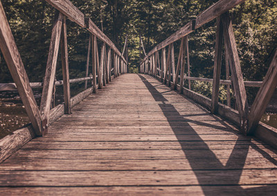 33% OFF on Jungle Bridge Fine Art Print