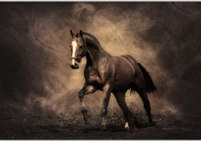 37% OFF on Beautiful Brown Horse Poster (18 x 12 Inches) by Shopkeeda Paper Print