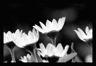 50% OFF on Cool shades Paper Print 50% OFF on Cool shades Paper Print