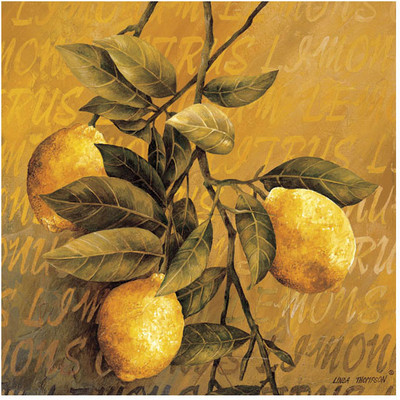 Montage - Lemon Branch Fine Art Print