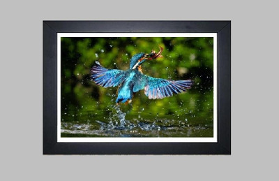 20% OFF on Colourful Birds Printed Wall Art Paintings Paper Print