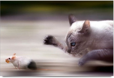 75% OFF on Amy Valencia Spain City Paper Print 75% OFF on Amy Valencia Spain City Paper Print