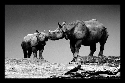 50% OFF on Mommy and Canvas Art