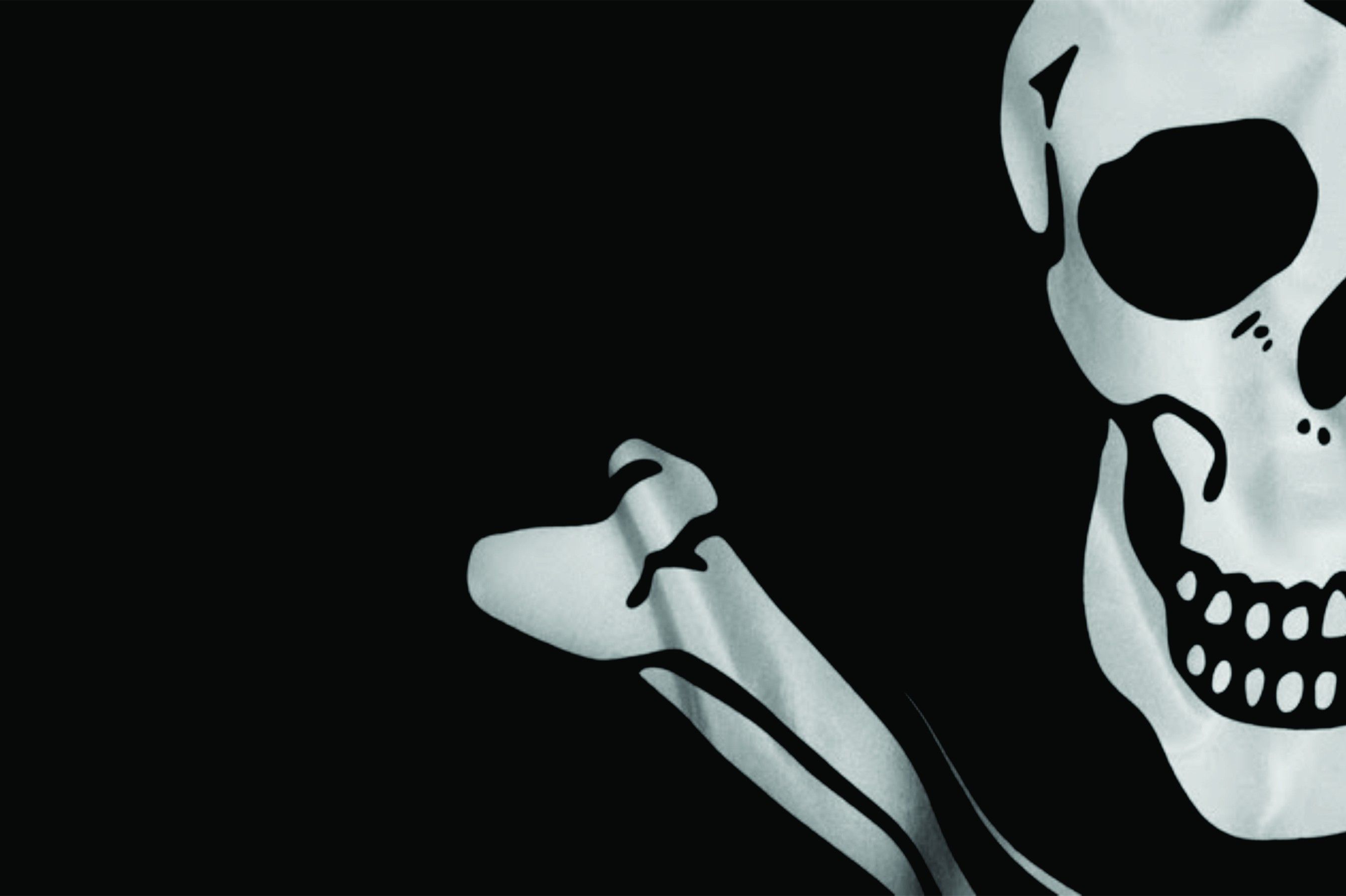 75% OFF on AMY skull Kiss Me I am Pirate 3D Poster