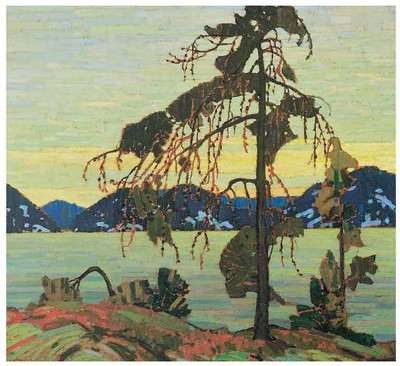 Montage - Jack Pine Fine Art Print