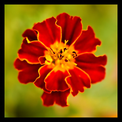 50% OFF on Red, up Canvas Art