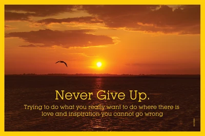 16% OFF on Shopisky Poster Never Give Up Paper Print 16% OFF on Shopisky Poster Never Give Up Paper Print