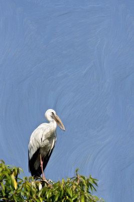 50% OFF on At rest Paper Print