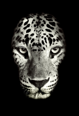 50% OFF on Mommy Leopard Canvas Art