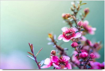 34% OFF on Purple Flawers Paper Print 34% OFF on Purple Flawers Paper Print