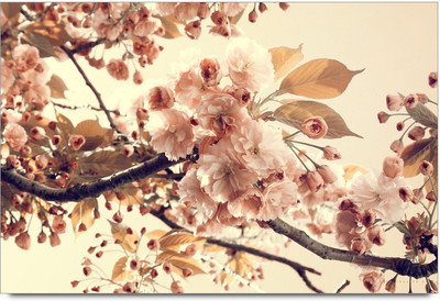 75% OFF on Amy Vintage Flowers Resulting Beauty in Nature 3D Poster