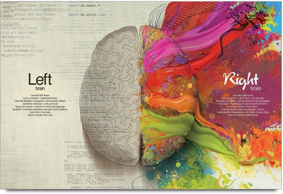 77% OFF on Shoprock Brain Left Right Segment Photographic Paper