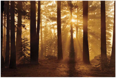 Montage - Tahoe Smoky Sunrise Fine Art Print Montage - Tahoe Smoky Sunrise Fine Art Print