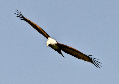 50% OFF on In Flight Paper Print