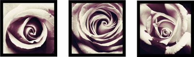 33% OFF on Roses Fine Art Prints Fine Art Print 33% OFF on Roses Fine Art Prints Fine Art Print