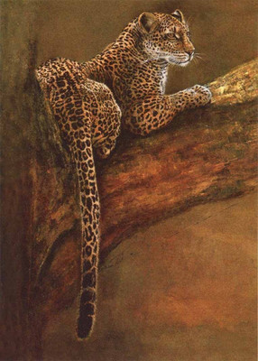 55% OFF on Leapord Sitting on a Tree Canvas Art