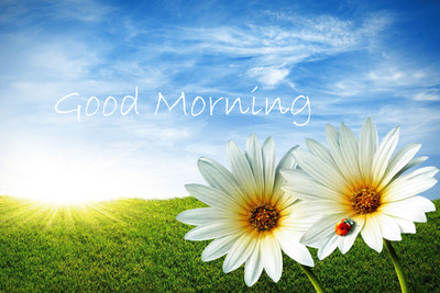 50% OFF on Funny Quotes Paper Print