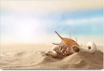 34% OFF on Sea Stone Paper Print