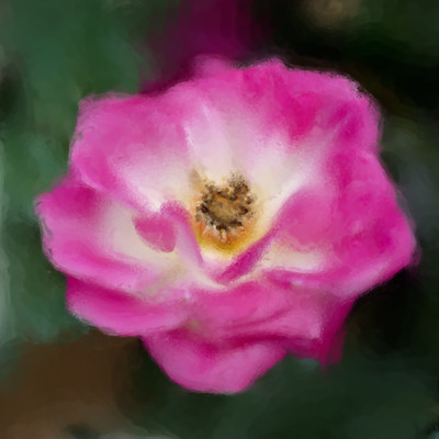 50% OFF on Colourful Flowers 64 Paper Print