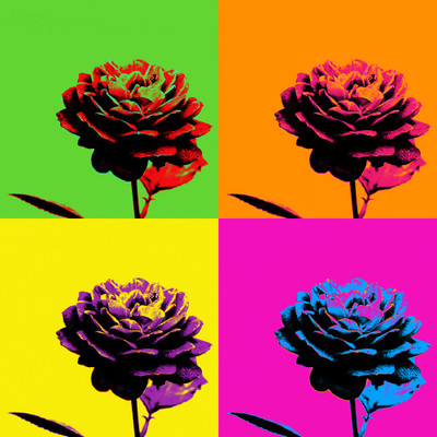 50% OFF on Colourful Flowers 66 Paper Print