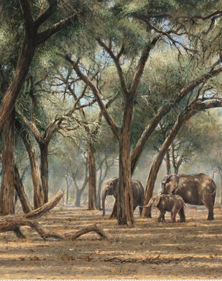 80% OFF on Holicshop elephant Canvas Pianting without Frame Canvas Art