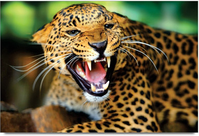 34% OFF on Amy Jaguar Animal 3D Poster