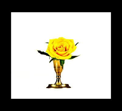 50% OFF on Rose in Paper Print