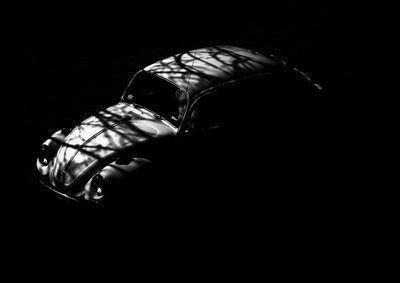 44% OFF on Black Beetle Fine Art Print